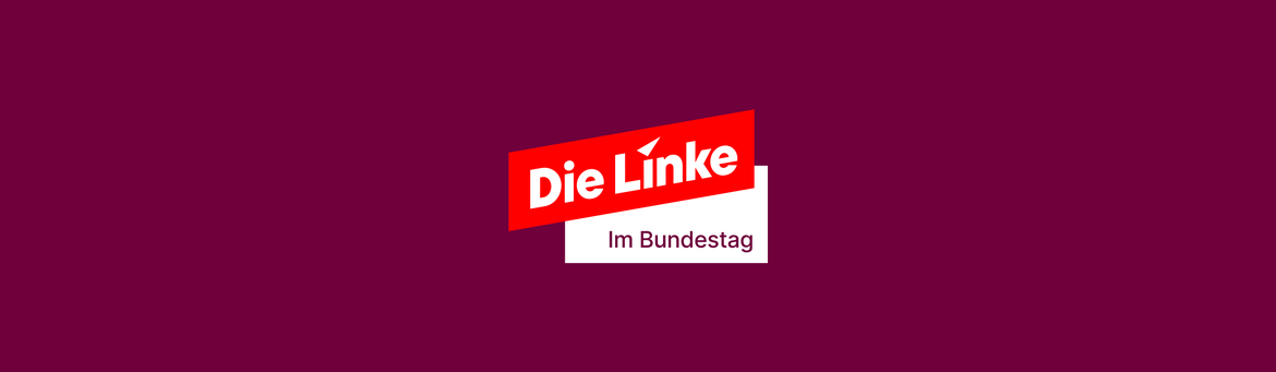 Die Linke im Bundestag